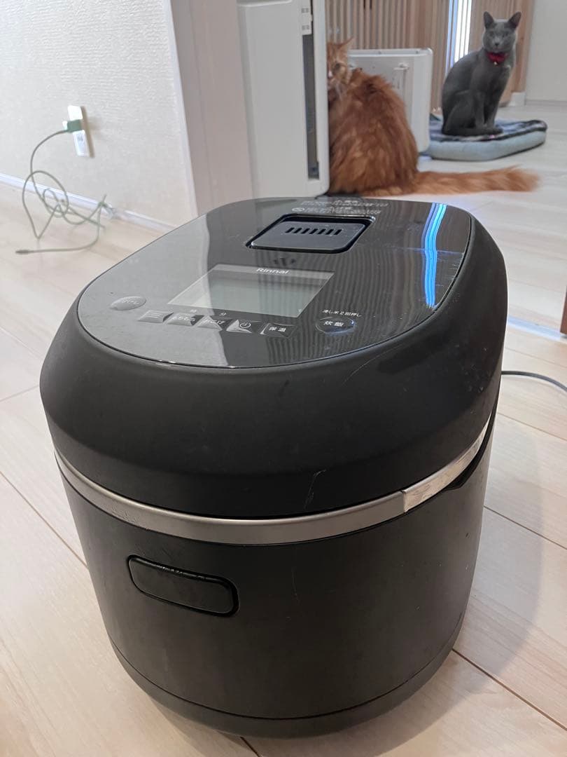 【プロパン用】イワタニガス炊飯器