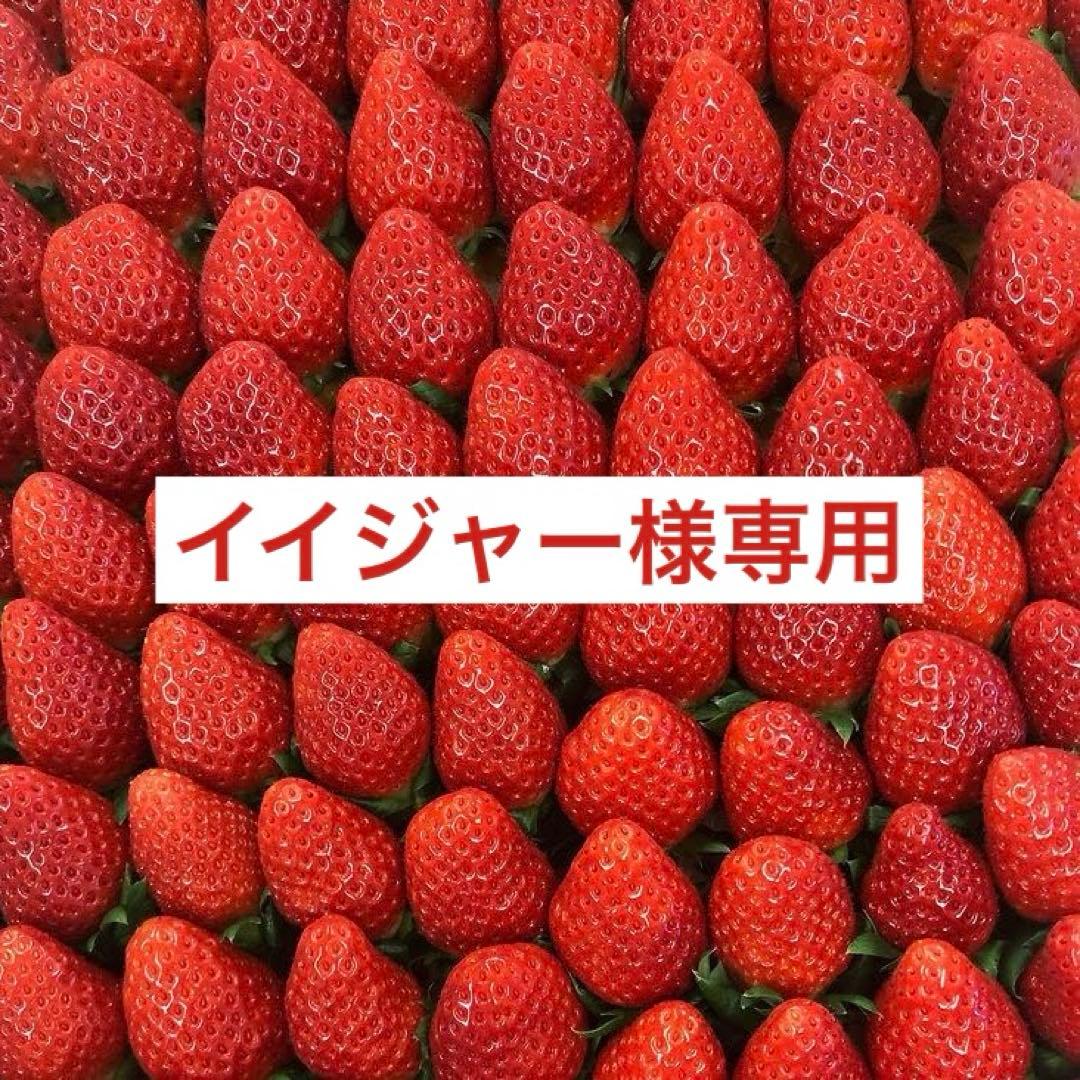 ワコール 超あったかルームソックス 極暖 裏起毛 靴下 日本製 4足