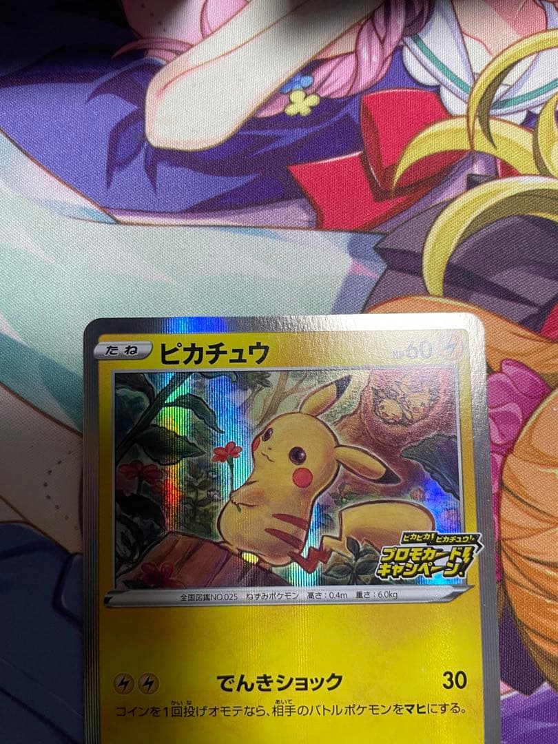 ピカチュウプロモ　メス　確認用