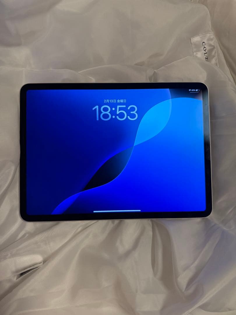 【一応ジャンク.】iPad Pro 11インチ 第1世代 64GB