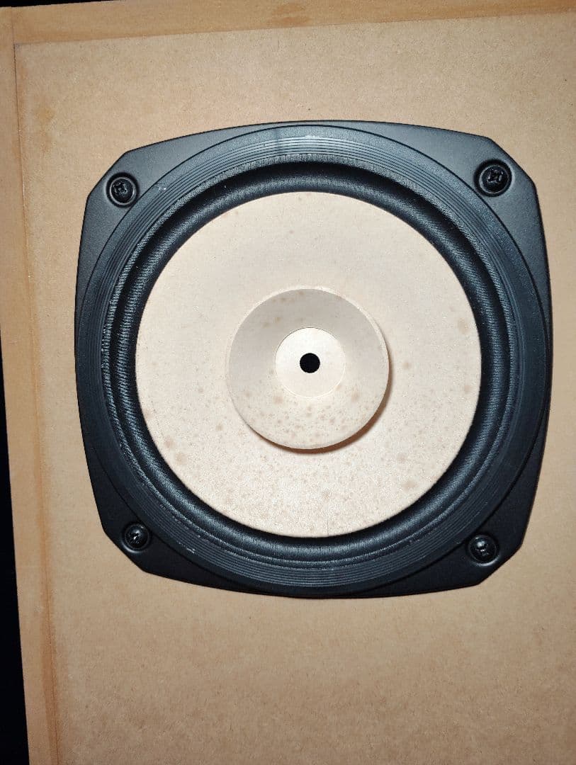 BW206NV2＋FE206NV2　20cm バックロードホーンスピーカー