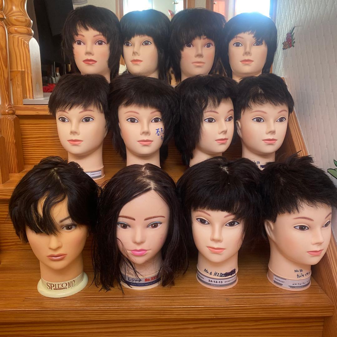 練習用カットウィッグ　12体セット