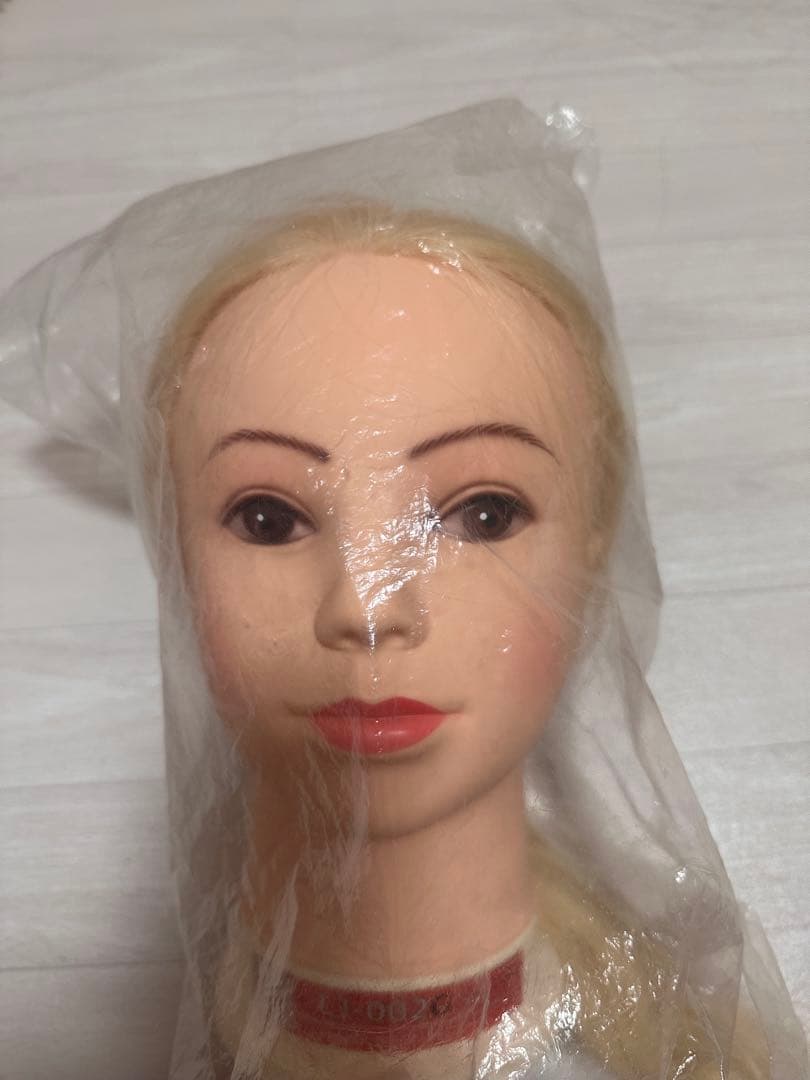 レジーナ LJ-002G ver.2金髪ブロンドウィッグヘアアレンジ美容学生実習