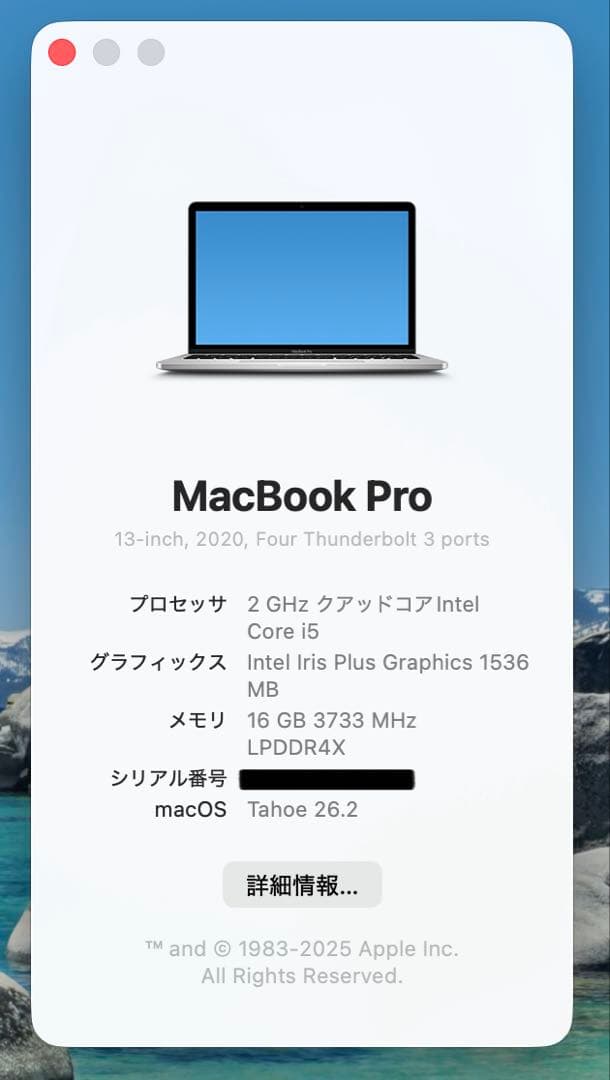 【即日発送】Macbook PRO 2020 シルバー