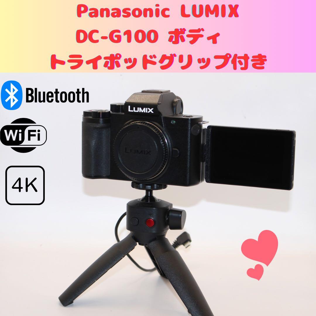 ★ショット数739回未使用級★LUMIX DC-G100 ボディ　グリップ付き