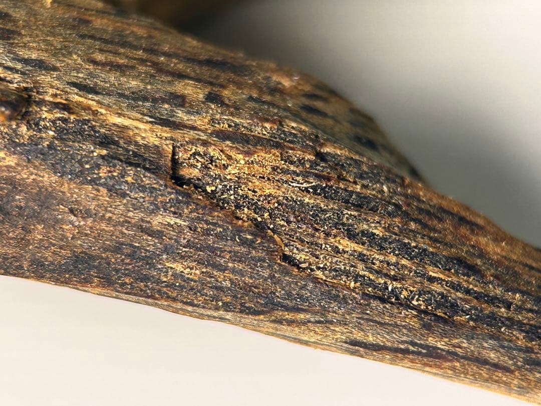 お香 天然沈香 六国五味聞香用 伽羅 香木 4-S-9.137