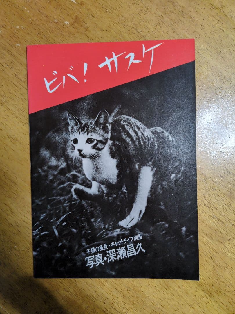 ビバ！サスケ 猫の写真集 深瀬昌久