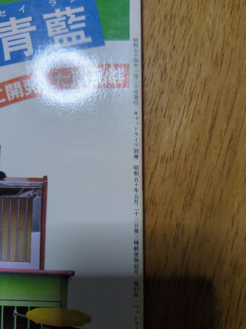 ビバ！サスケ 猫の写真集 深瀬昌久