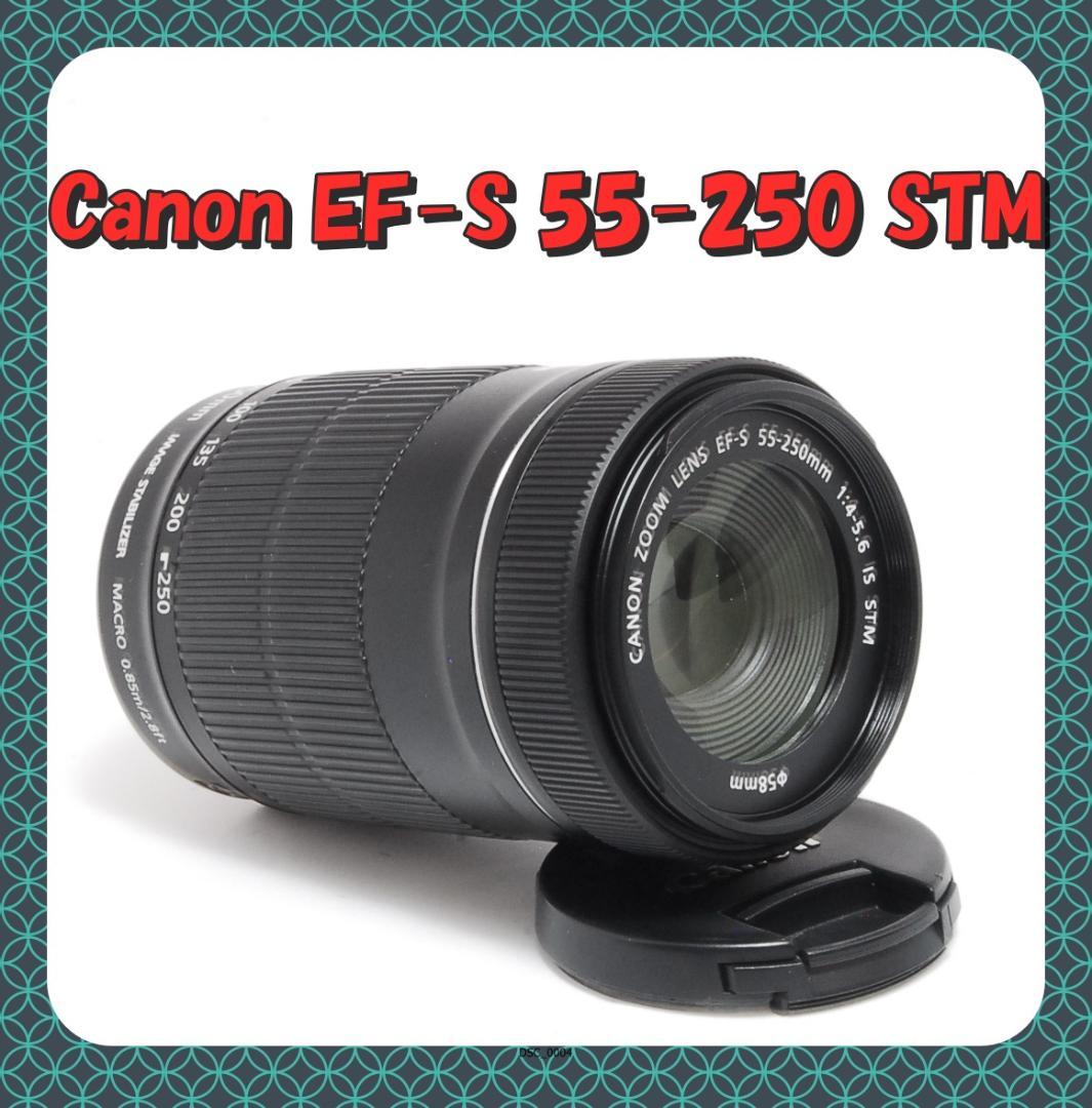 ✨Canon EF-S 55-250 STM☆美品☆手ぶれ補正