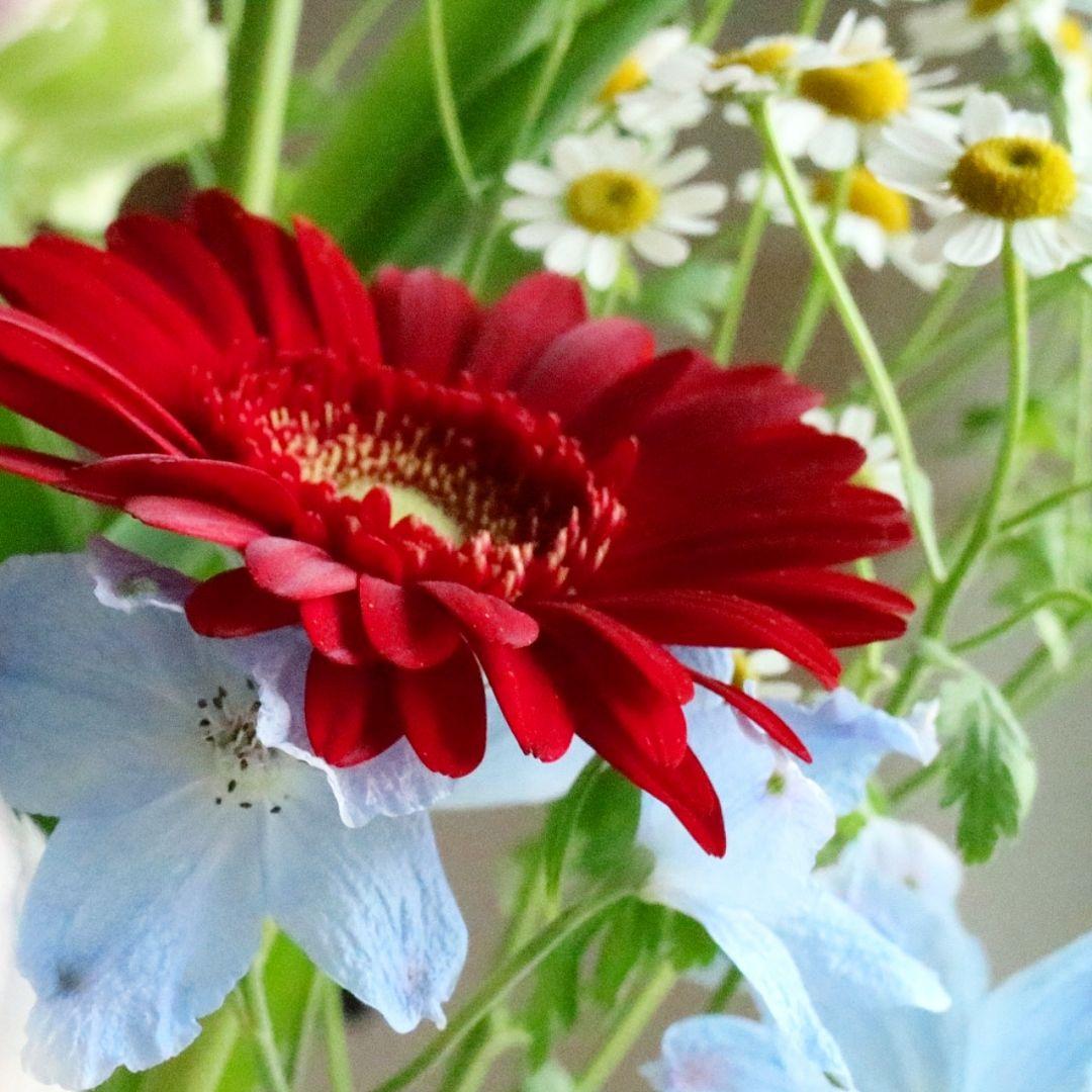 Canon EOS M3 ホワイト ミラーレス 一眼カメラ