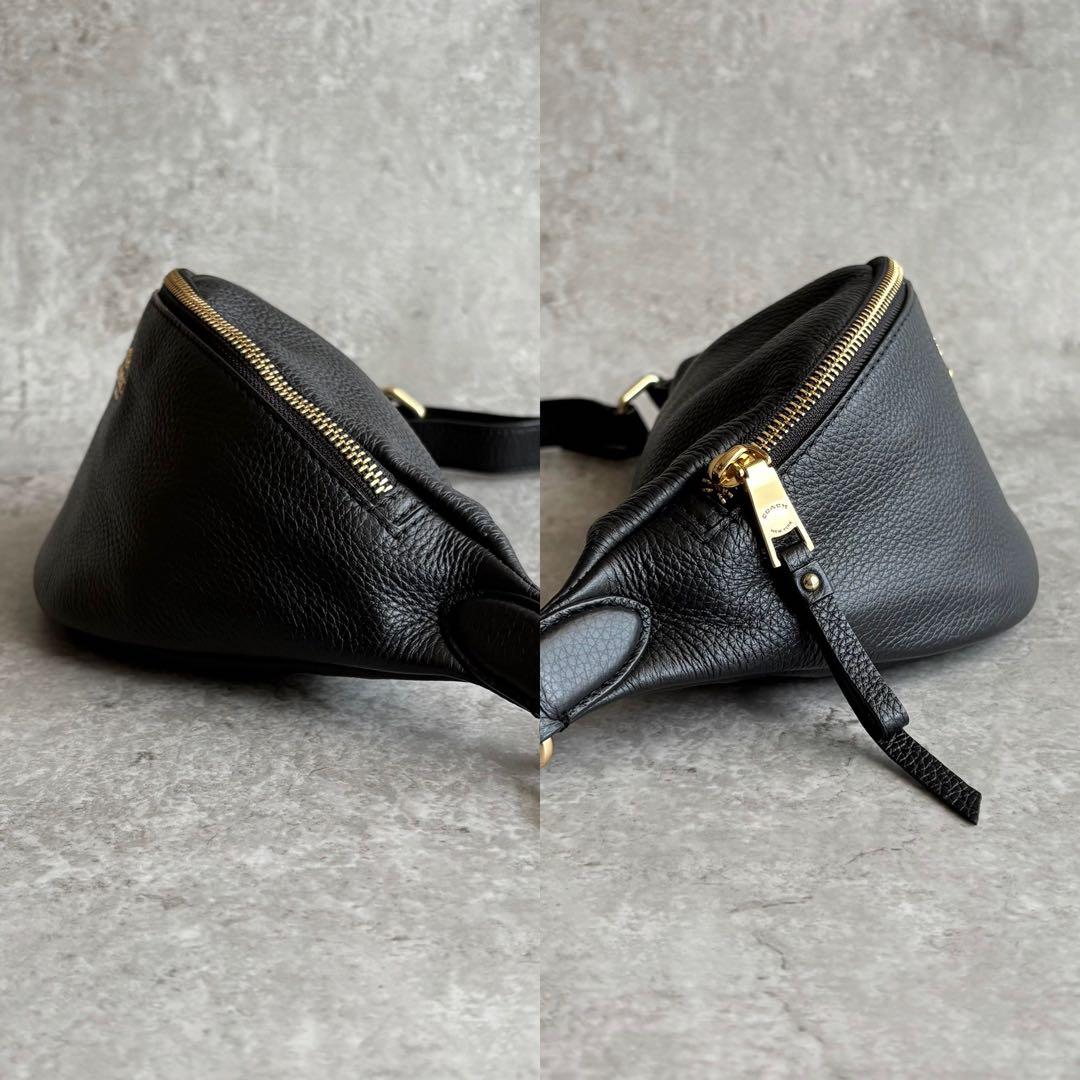 zなえなの33様COACH ボディバッグ ショルダーバッグ ゴールド金具 レザー