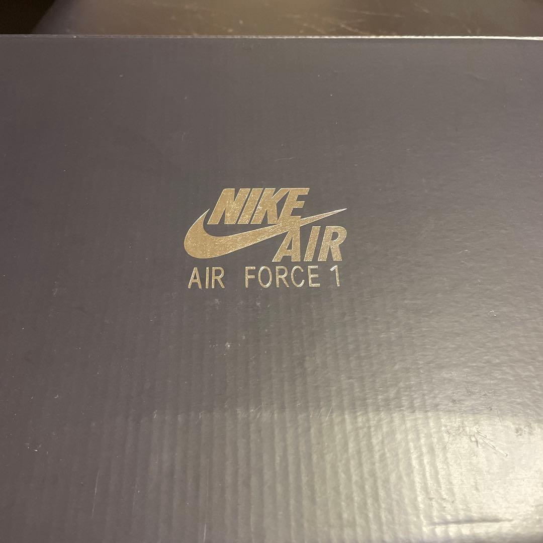 NIKE エア フォース 1 GORE-TEX Vibram GTX