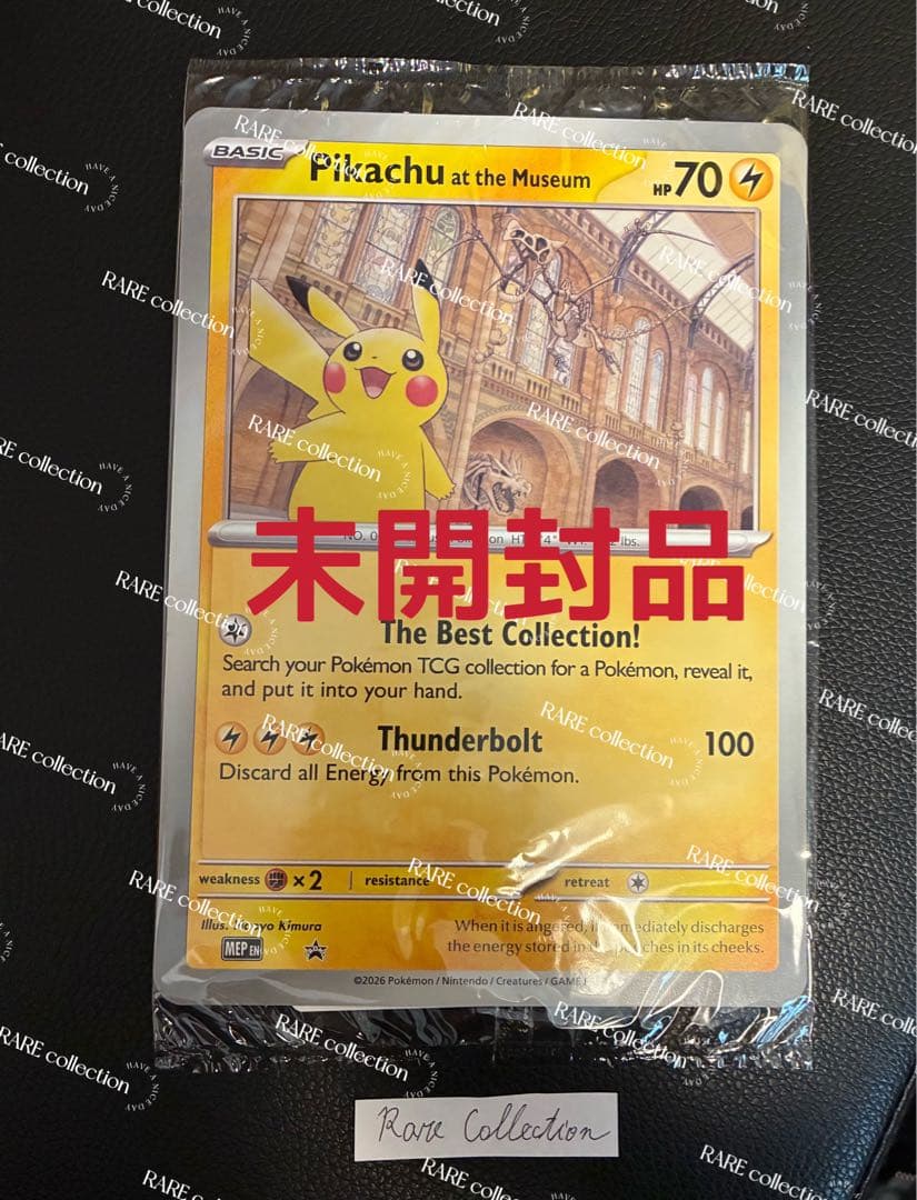 Pikachu at the Museum ピカチュウ ロンドン自然史博物館17