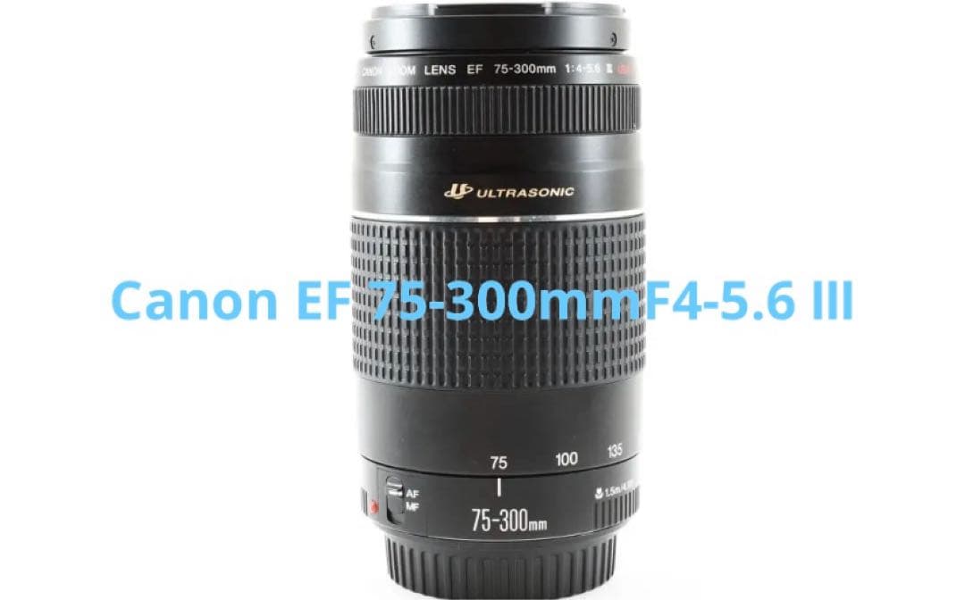 美品☆キヤノン Canon EF 75-300mm F4-5.6 Ⅲ