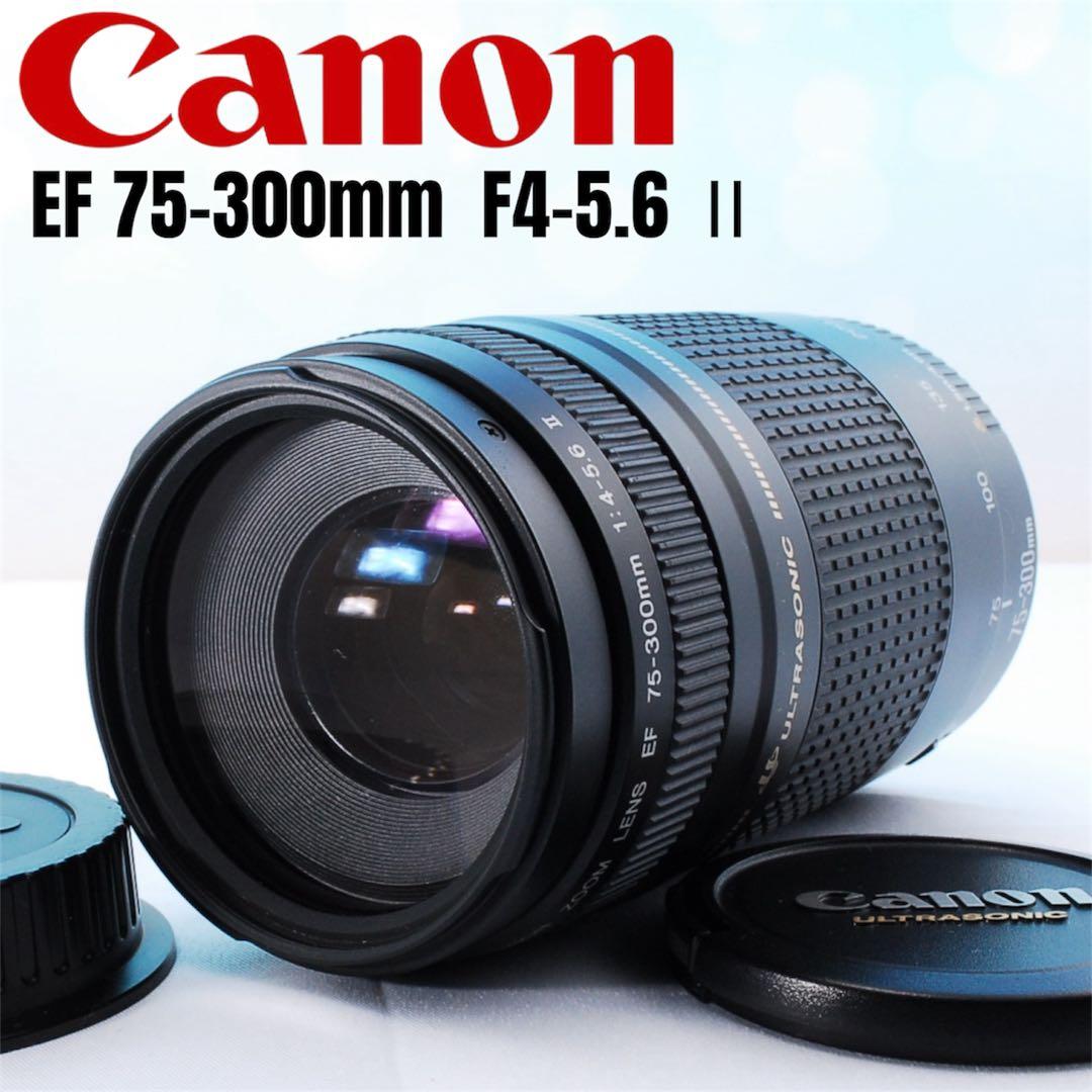 【外観美品】Canon EF 75-300mm F4-5.6 II USM