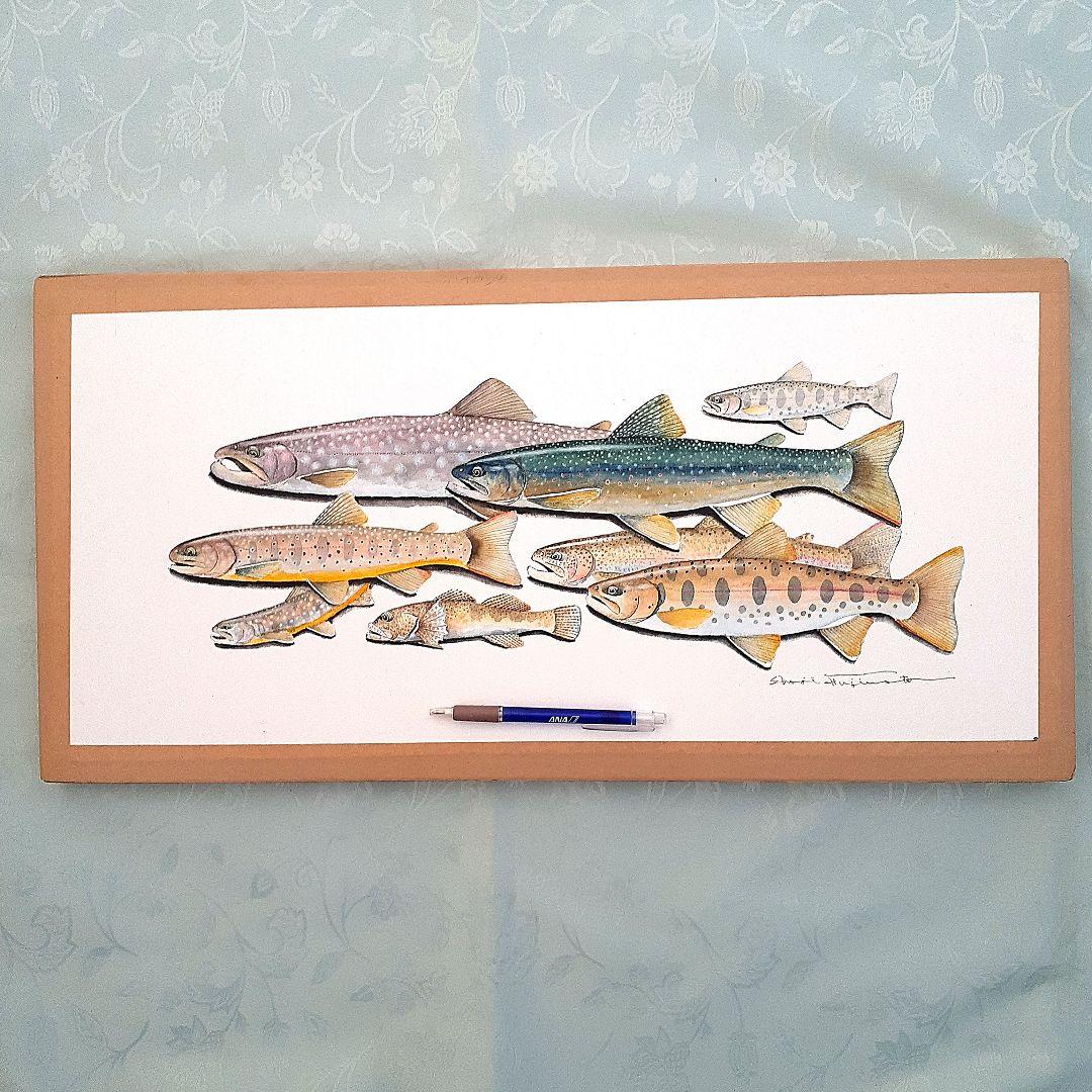 北海道の渓流に住む魚の透明水彩画