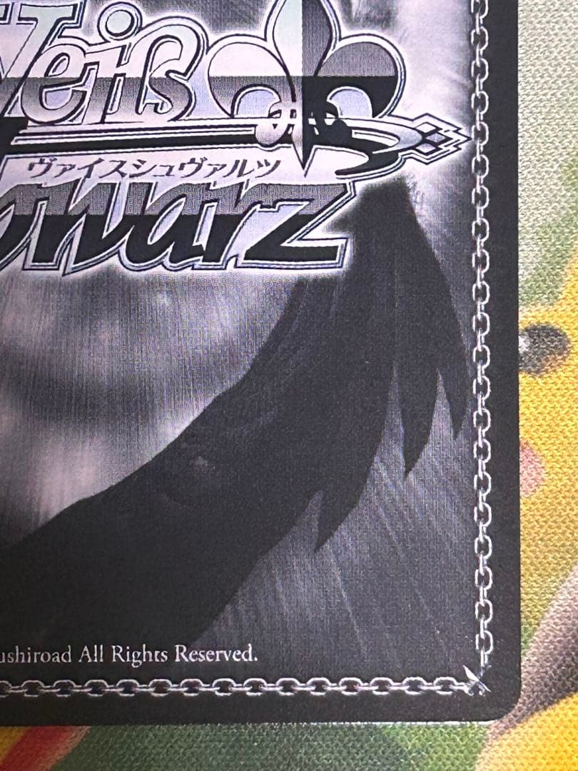 いつまでもどこまでも コッコロ SSP ヴァイスシュヴァルツ