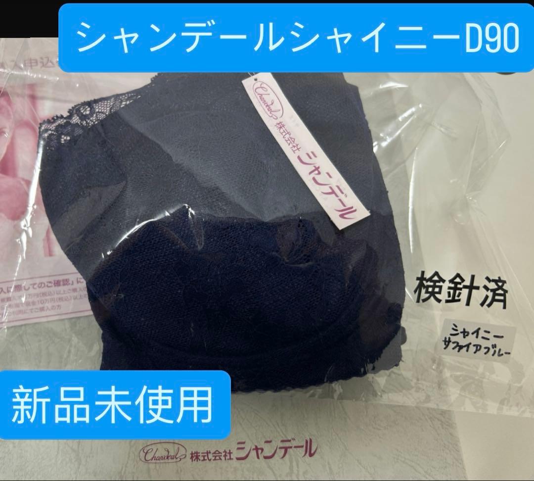 シャンデール　ブラジャーD90