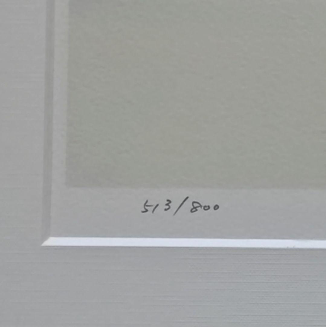 葉祥明 版画 少女とカモメ