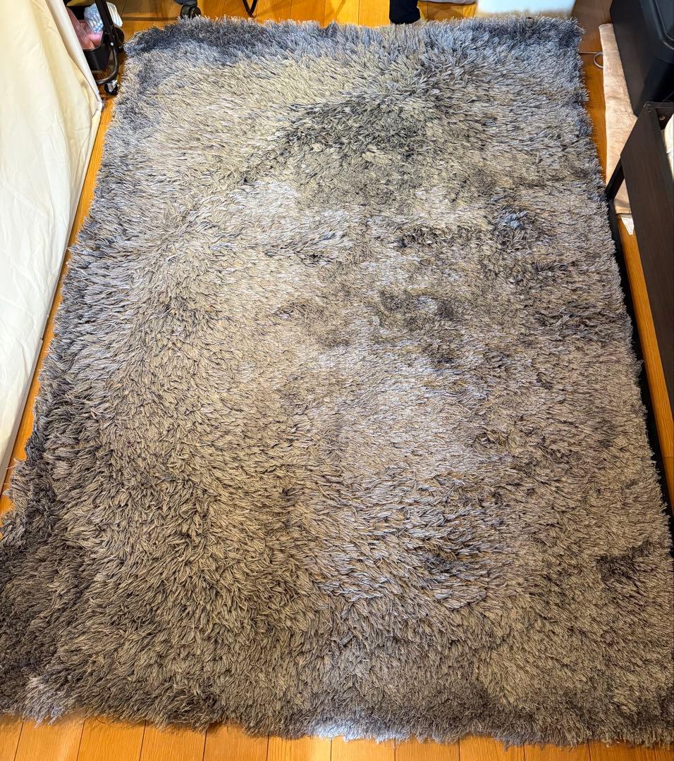 ACTUS アクタス ラグ 1700 × 2400