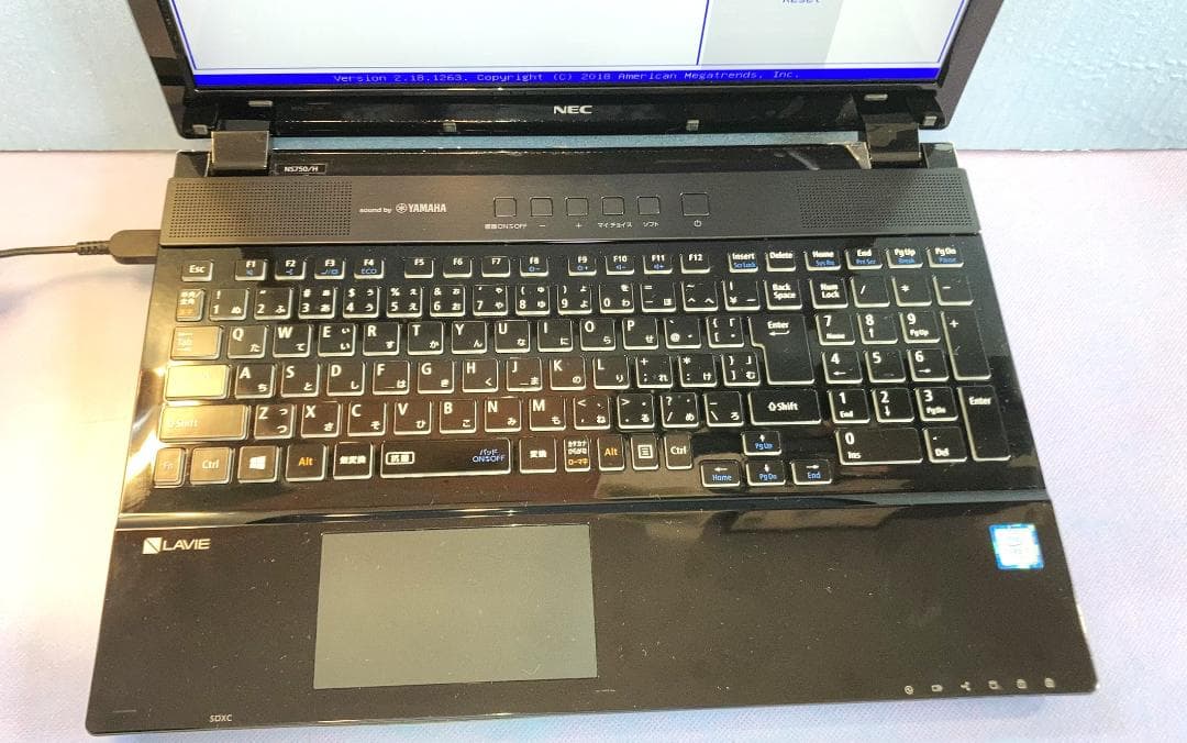 NEC NS750HAB ジャンク品(起動biosのみ確認)部品取/研究/修理！