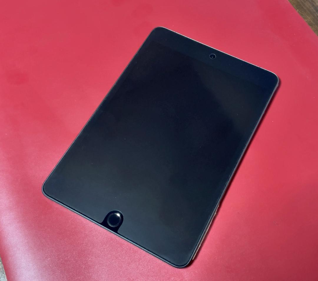 iPad mini5 Wi-Fi+Cellular 256GB 大容量 セルラー