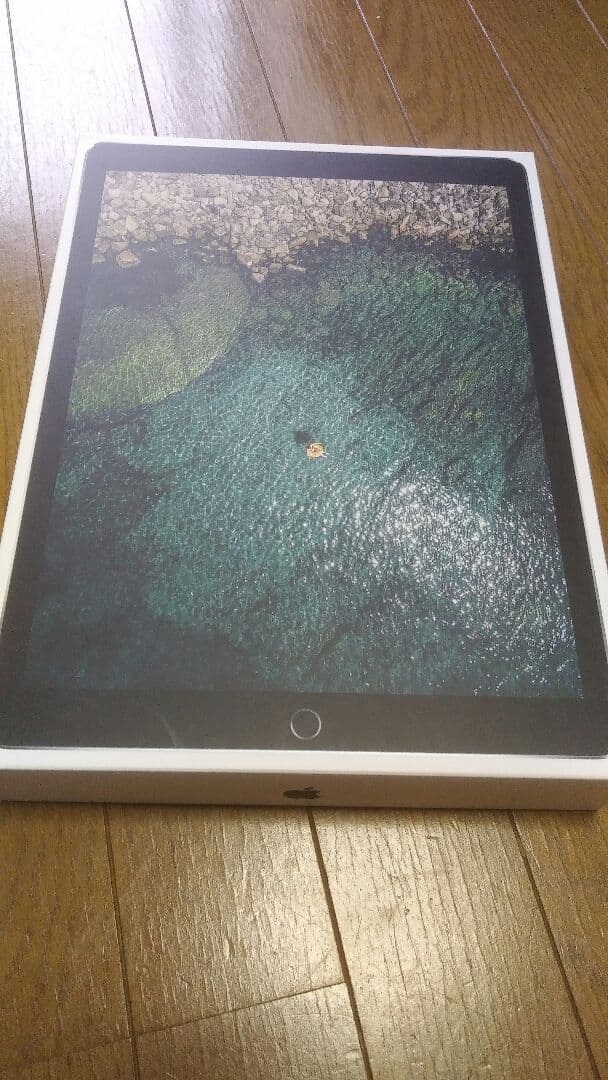 iPad本体 iPad  pro 12.9-inch 64GB Space  Gray