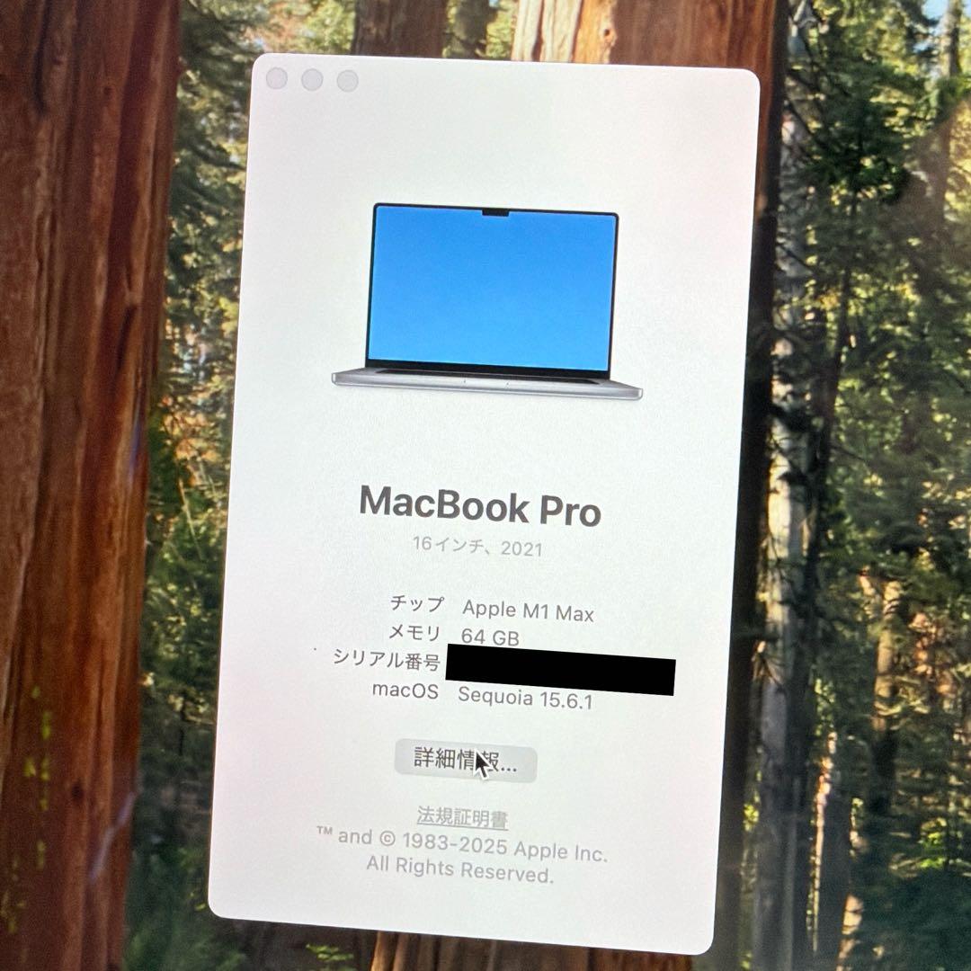 【M1 Max/64GB/4TB】MacBook Pro 16インチ 2021
