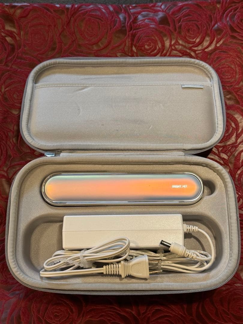 Panasonic LED美顔器 ケース付き