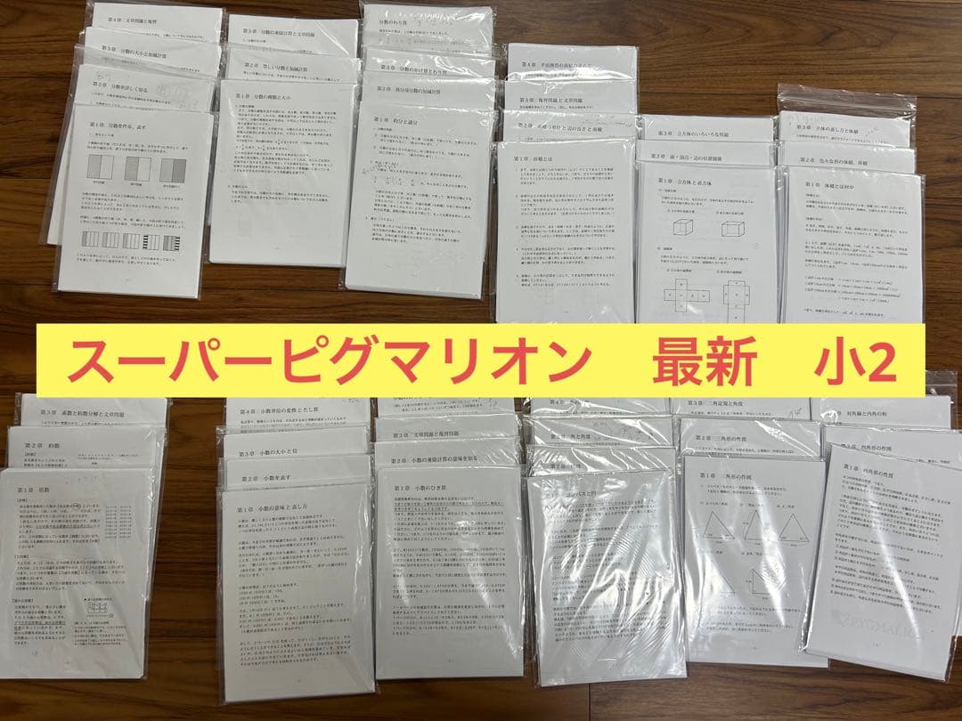2025年 最新版 小学2 スーパーピグマリオン　教育　参考書　塾　子ども　勉強