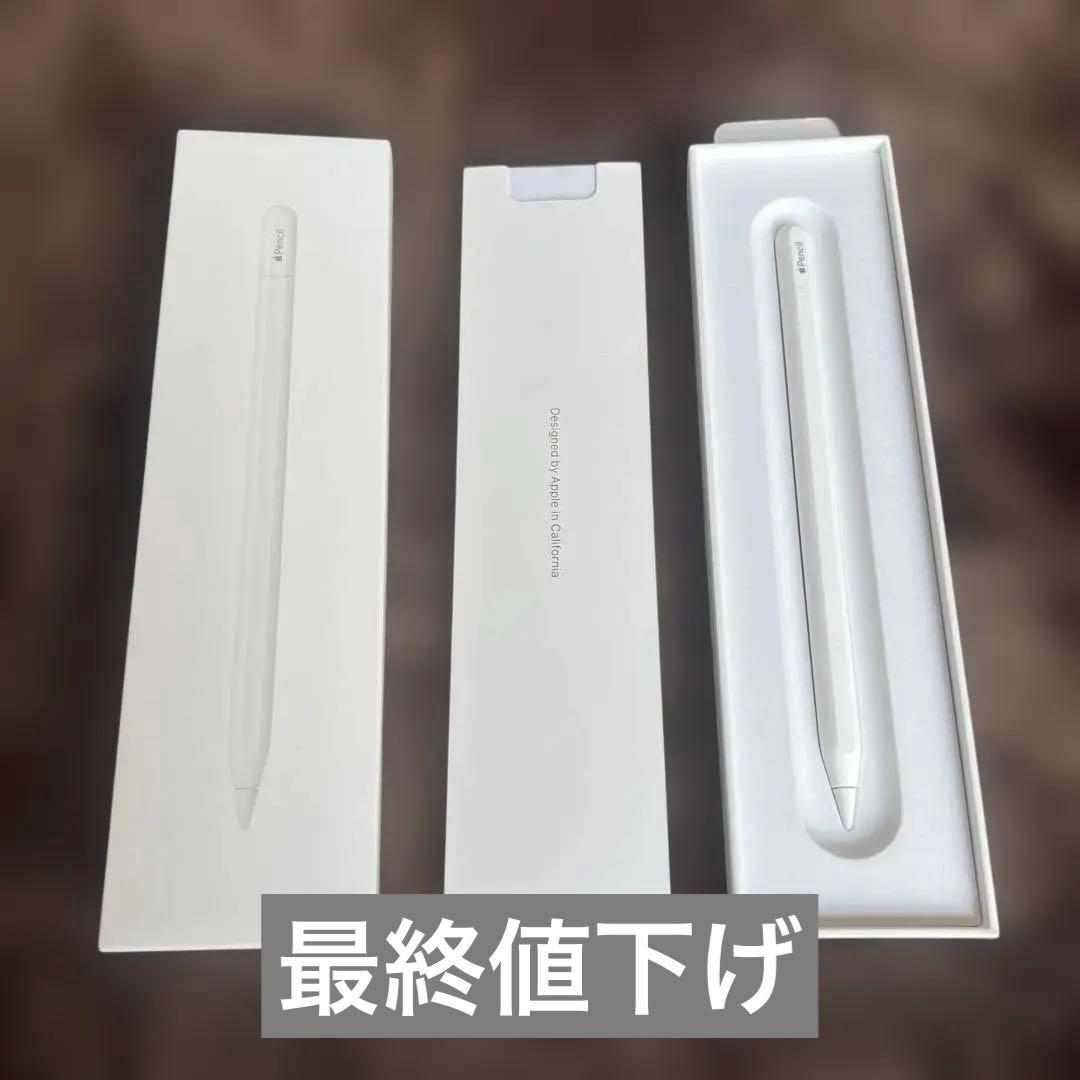 Apple Pencil ホワイト(USB-C) 専用ケース付き