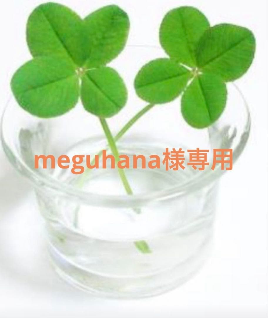 クレンジング・メイク落とし meguhana