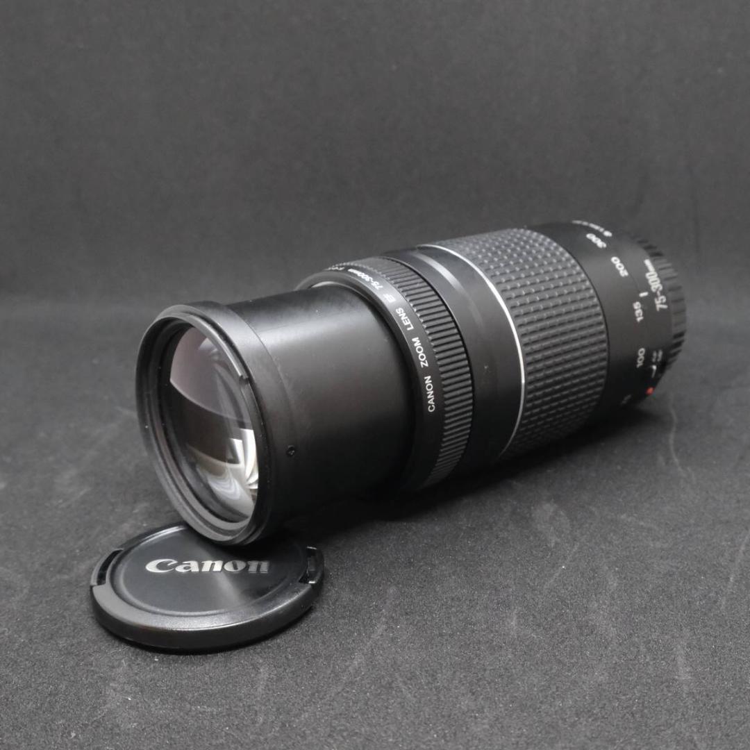 micchan✩.*˚ Canon 　75-300mm 1:4-5.6 Ⅱ