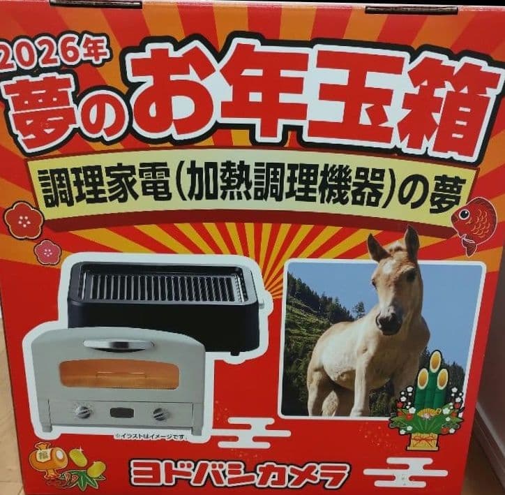 2026年 夢のお年玉箱 調理家電(加熱調理機器)の夢