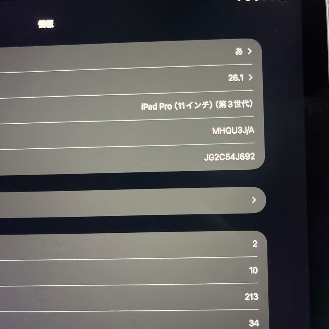 Apple iPad Pro 11インチ 第3世代 256GB