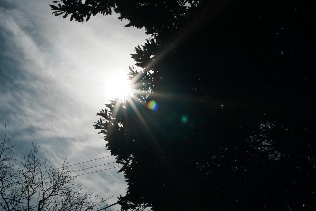 極美品・箱 AF Ai Micor-Nikkor 60mm F2.8D 692