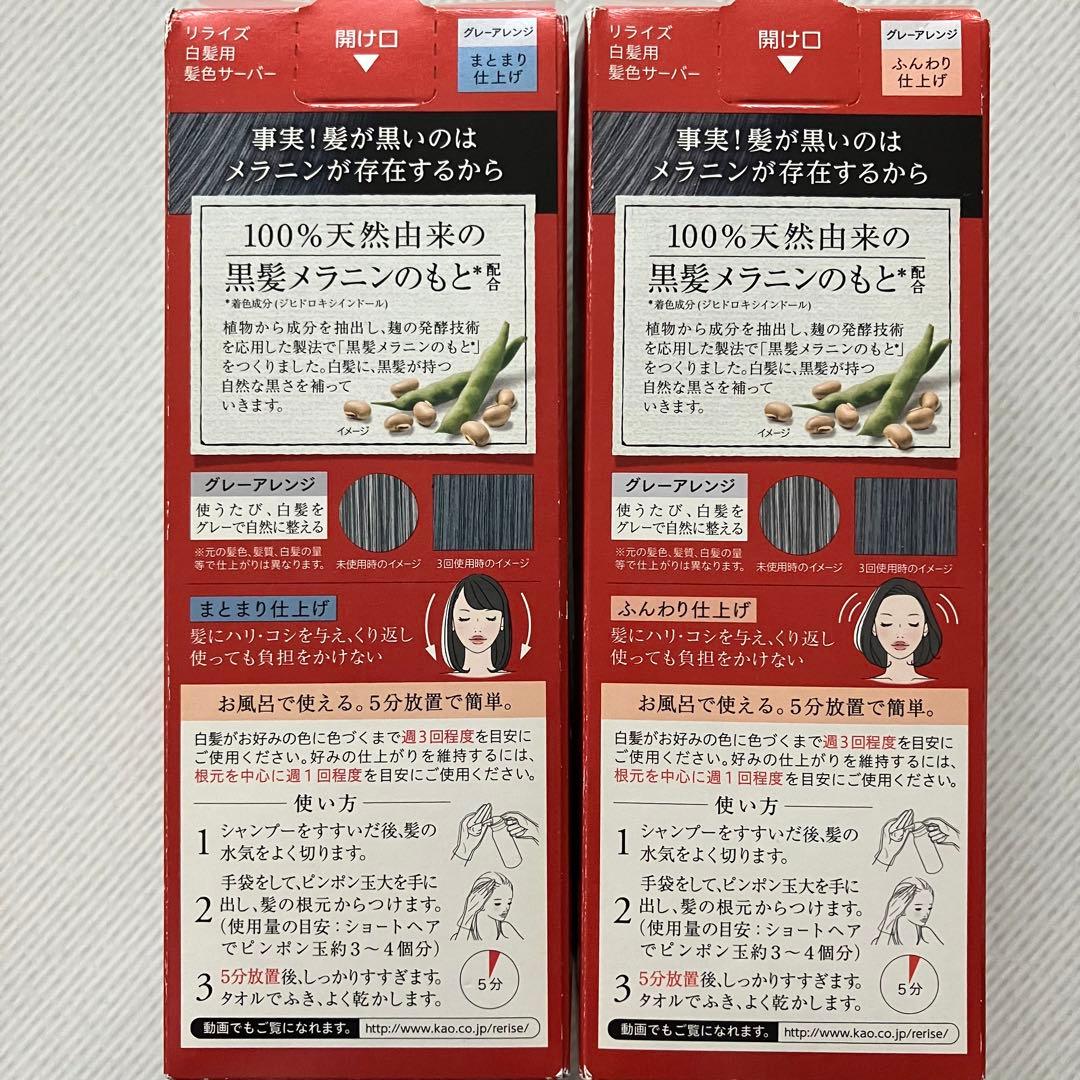 Rerise リライズ 白髪用髪色サーバー 合計6本