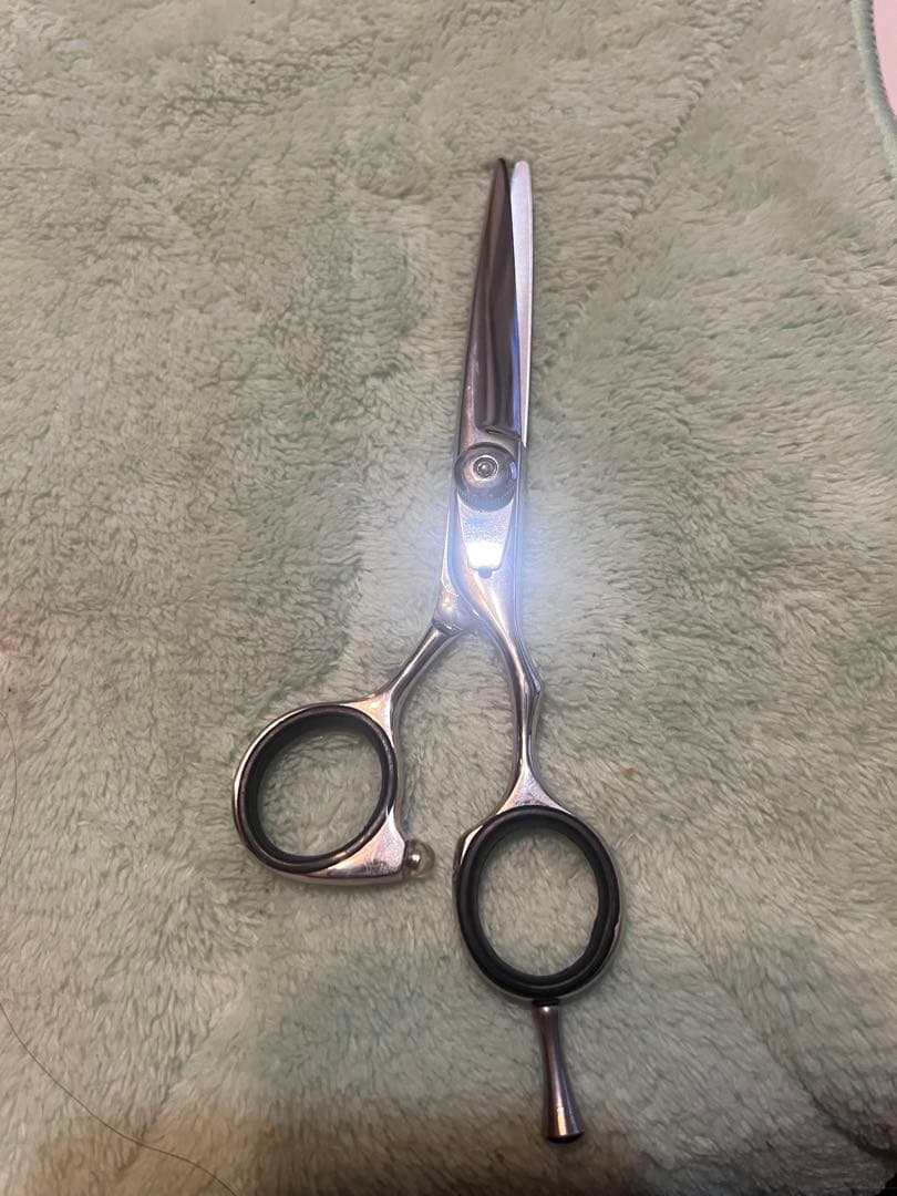 シーザーセット