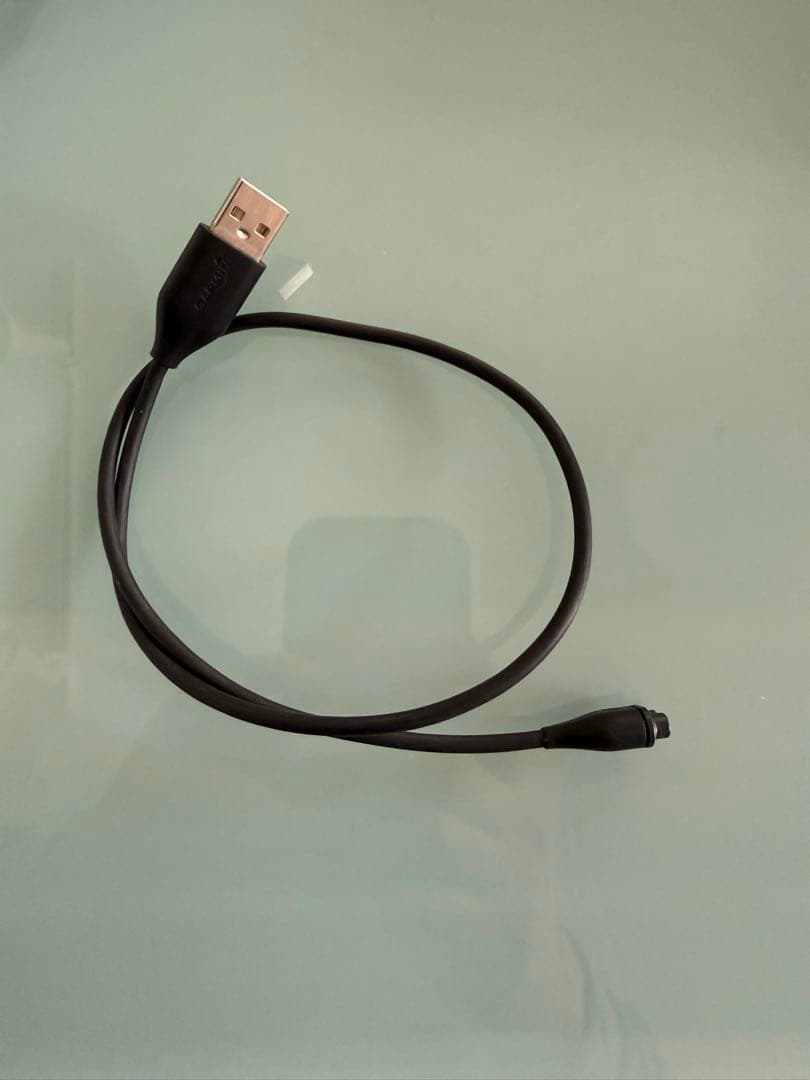 Garmin ガーミン　ForeAthlete 45 フォアスリート45