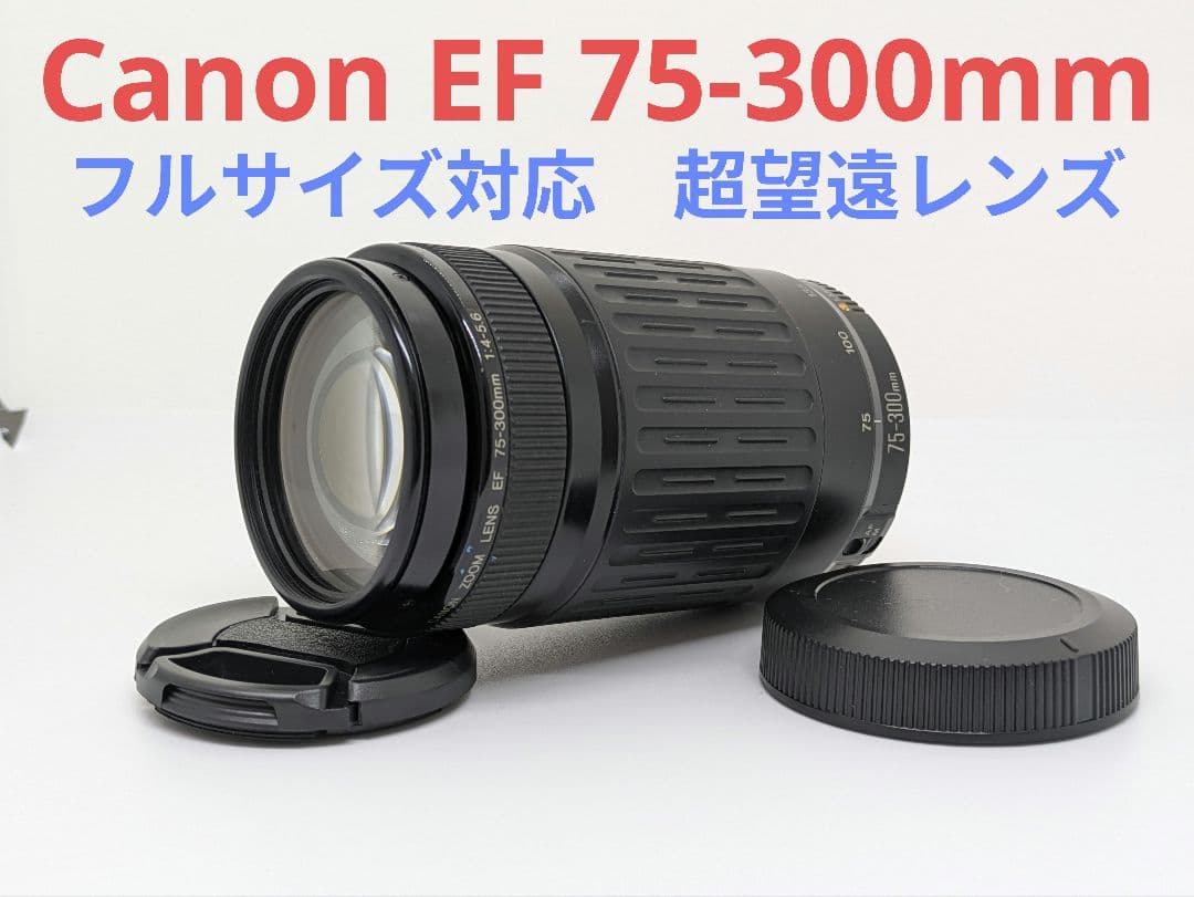 dai【超望遠レンズ】Canon EF 75-300mm