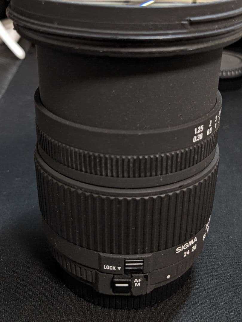 SIGMA 24-60mm 1:2.8 EX DG Canon EF フード付き