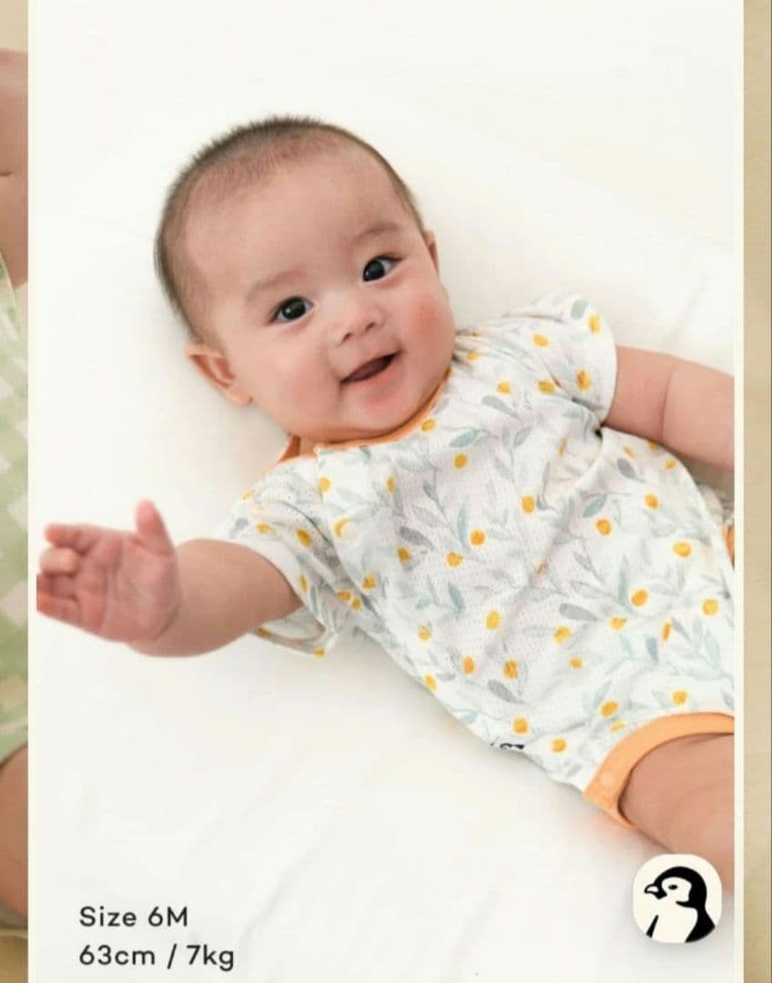 KONNY コットンメッシュボディスーツ 7点セット 12M