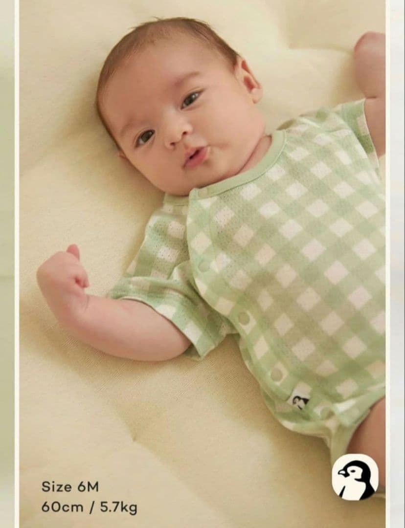 KONNY コットンメッシュボディスーツ 7点セット 12M