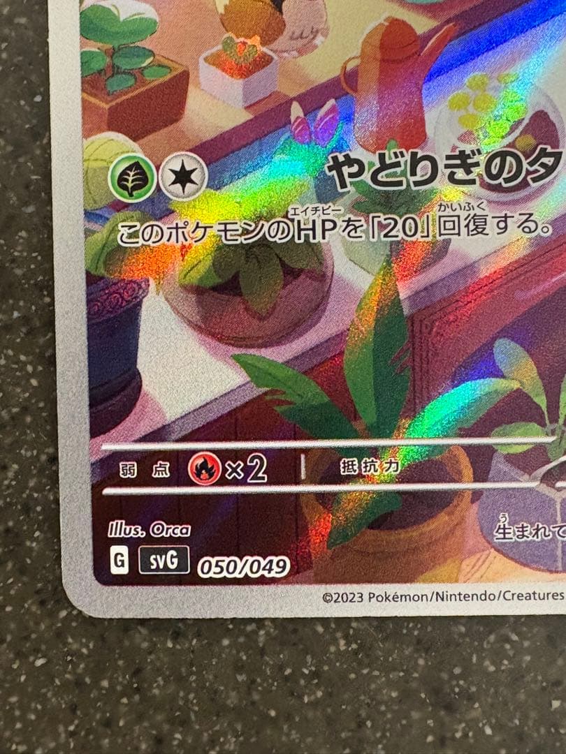 フシギダネ ヒトカゲ ゼニガメ スペシャルデッキセット プロモ 3枚セット