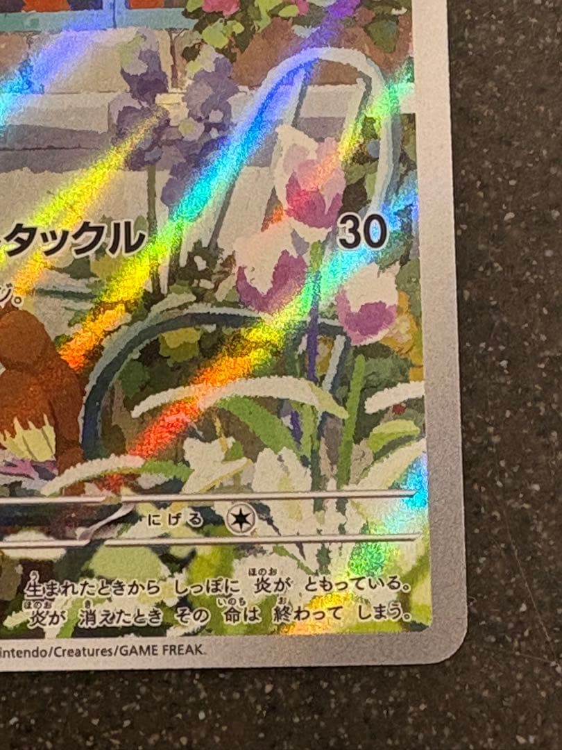 フシギダネ ヒトカゲ ゼニガメ スペシャルデッキセット プロモ 3枚セット