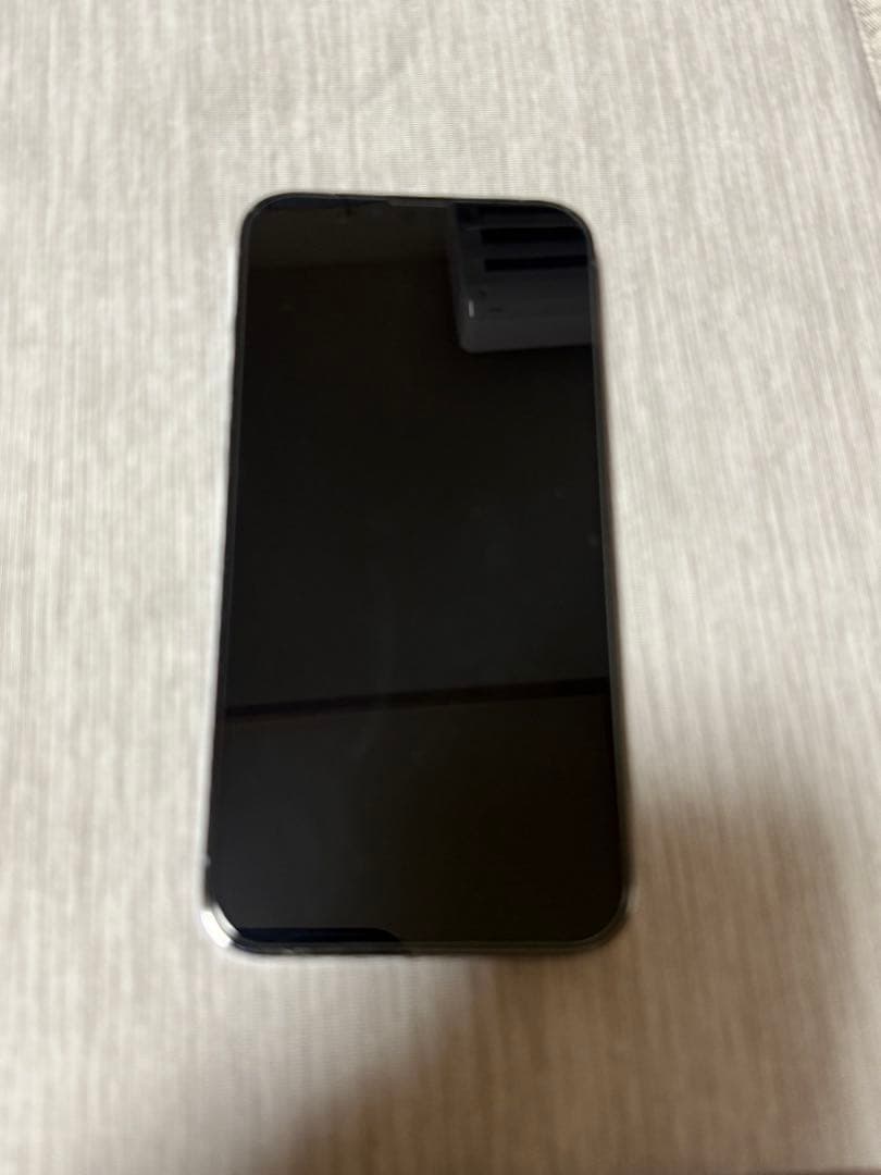 極美品 iPhone13ProMax 256GB シエラブルー SIMフリー