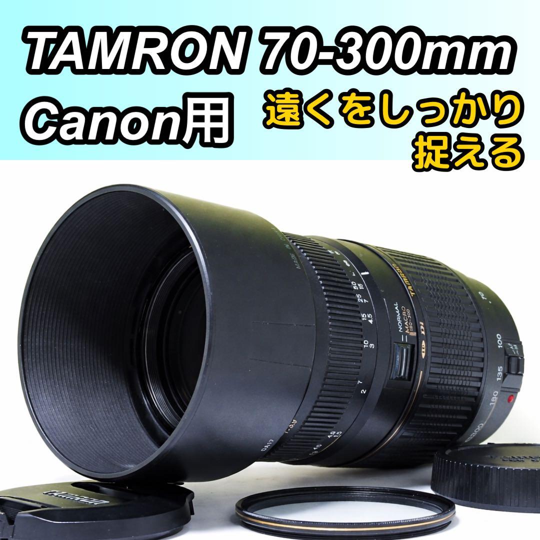 超望遠✨美品✨TAMRON 70-300mm f4-5.6 A17 キャノン用