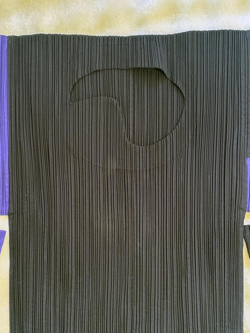 [超希少] ISSEY MIYAKE 平面 二次元 変形 ボーダー入りプリーツ