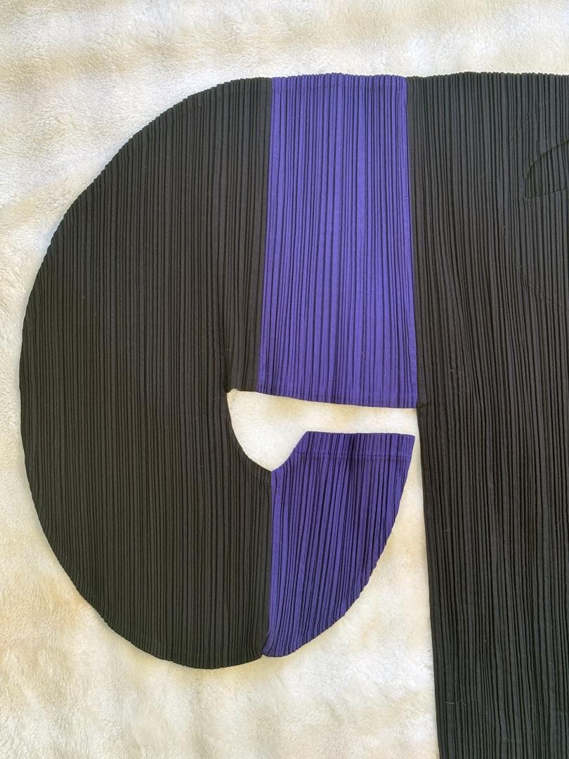 [超希少] ISSEY MIYAKE 平面 二次元 変形 ボーダー入りプリーツ