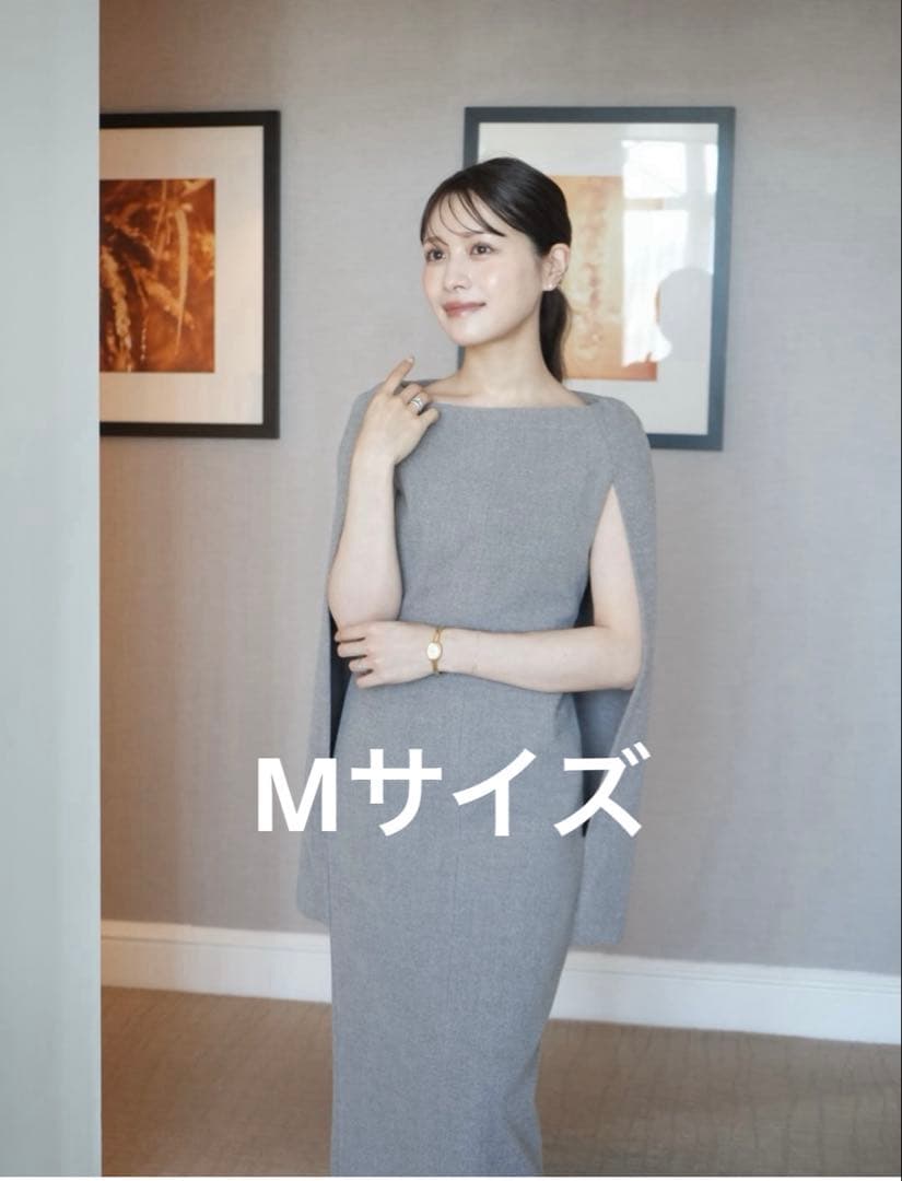 スーツ・フォーマル・ドレス laubeblanc Narrow line Cape Dress M